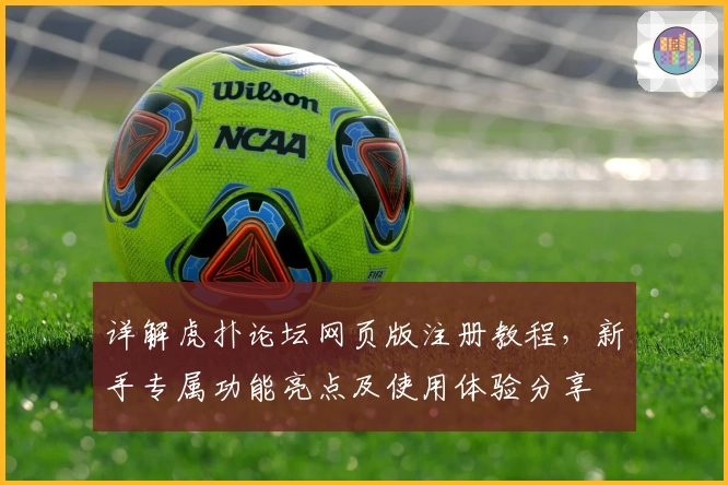 详解虎扑论坛网页版注册教程，新手专属功能亮点及使用体验分享